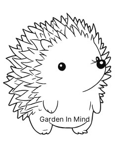 Garden In Mind gardener Bromley 